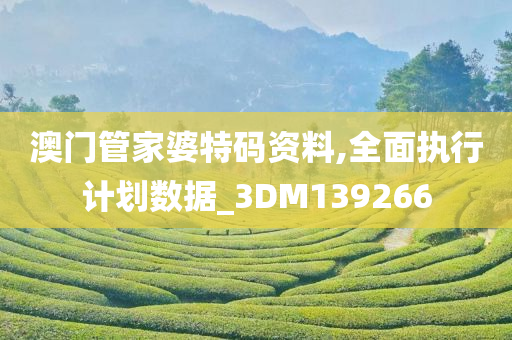 澳门管家婆特码资料,全面执行计划数据_3DM139266