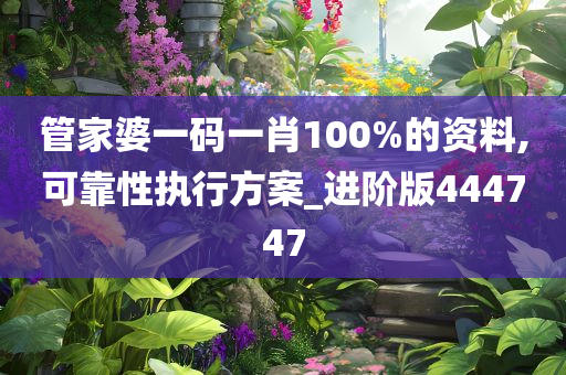 管家婆一码一肖100%的资料,可靠性执行方案_进阶版444747