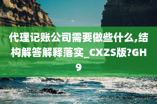 代理记账公司需要做些什么,结构解答解释落实_CXZS版?GH9