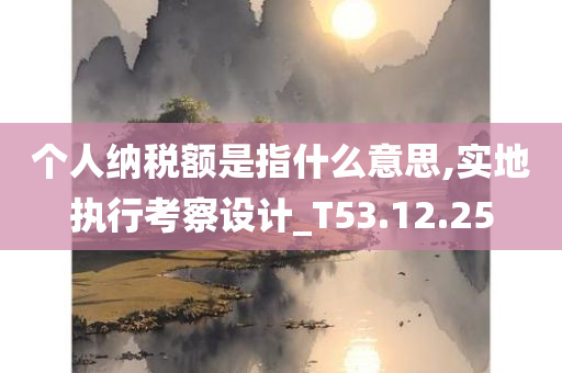 个人纳税额是指什么意思,实地执行考察设计_T53.12.25