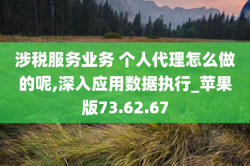 涉税服务业务 个人代理怎么做的呢,深入应用数据执行_苹果版73.62.67