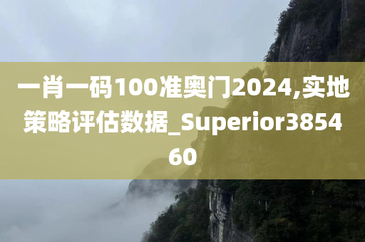 一肖一码100准奥门2024,实地策略评估数据_Superior385460