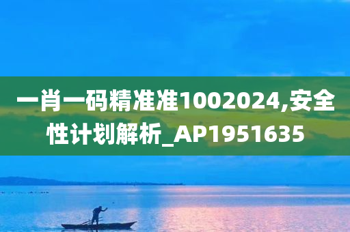 一肖一码精准准1002024,安全性计划解析_AP1951635