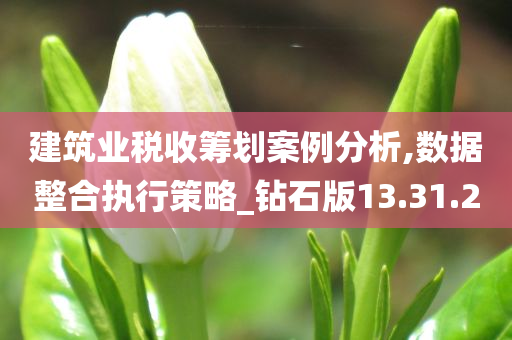 建筑业税收筹划案例分析,数据整合执行策略_钻石版13.31.20