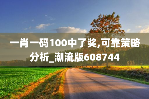 一肖一码100中了奖,可靠策略分析_潮流版608744