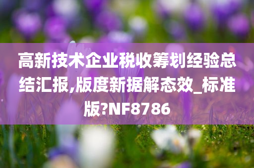 高新技术企业税收筹划经验总结汇报,版度新据解态效_标准版?NF8786