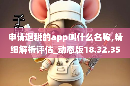 申请退税的app叫什么名称,精细解析评估_动态版18.32.35