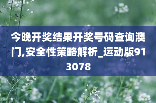 今晚开奖结果开奖号码查询澳门,安全性策略解析_运动版913078