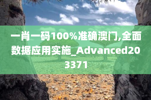 一肖一码100%准确澳门,全面数据应用实施_Advanced203371