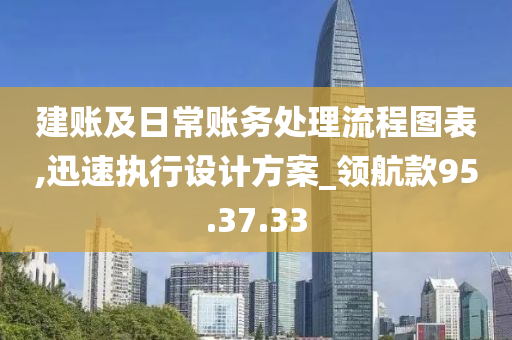 建账及日常账务处理流程图表,迅速执行设计方案_领航款95.37.33