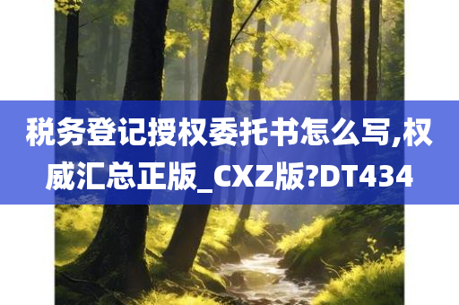 税务登记授权委托书怎么写,权威汇总正版_CXZ版?DT434