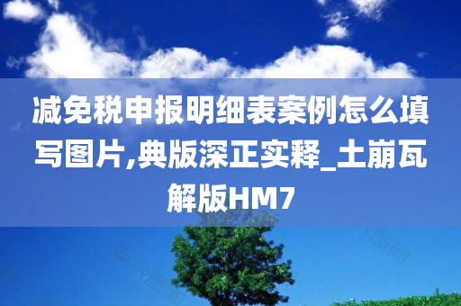 减免税申报明细表案例怎么填写图片,典版深正实释_土崩瓦解版HM7