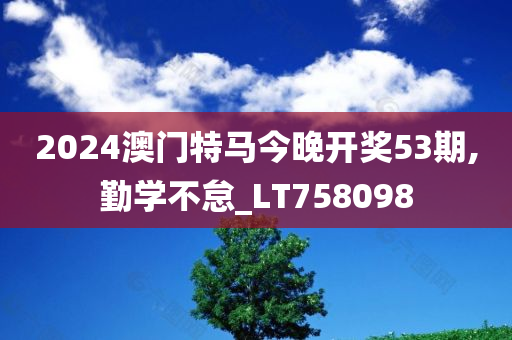 2024澳门特马今晚开奖53期,勤学不怠_LT758098