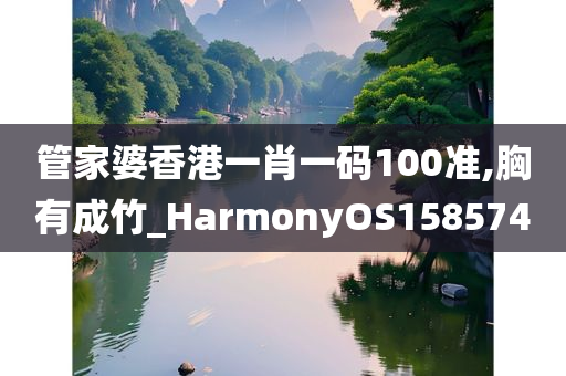 管家婆香港一肖一码100准,胸有成竹_HarmonyOS158574