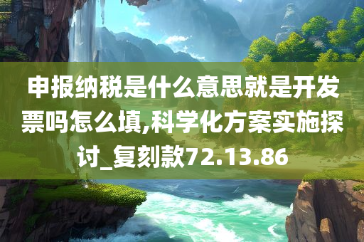 申报纳税是什么意思就是开发票吗怎么填,科学化方案实施探讨_复刻款72.13.86