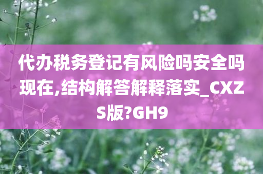 代办税务登记有风险吗安全吗现在,结构解答解释落实_CXZS版?GH9