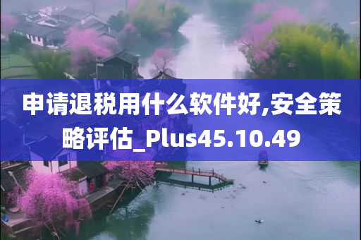 申请退税用什么软件好,安全策略评估_Plus45.10.49