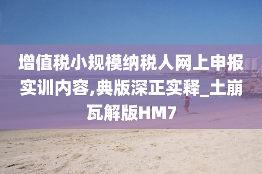 增值税小规模纳税人网上申报实训内容,典版深正实释_土崩瓦解版HM7