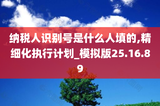 纳税人识别号是什么人填的,精细化执行计划_模拟版25.16.89