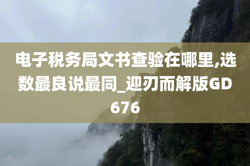 电子税务局文书查验在哪里,选数最良说最同_迎刃而解版GD676