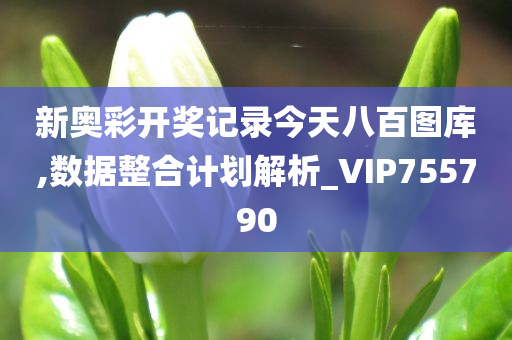 新奥彩开奖记录今天八百图库,数据整合计划解析_VIP755790