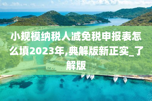 小规模纳税人减免税申报表怎么填2023年,典解版新正实_了解版