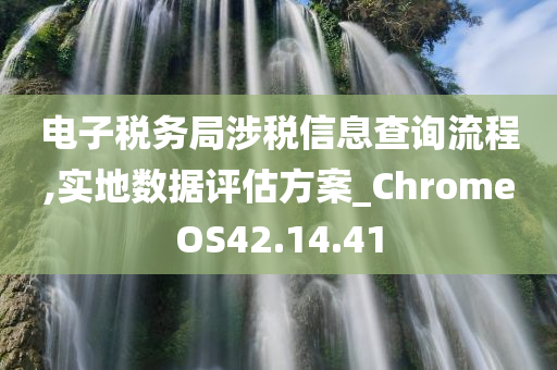 电子税务局涉税信息查询流程,实地数据评估方案_ChromeOS42.14.41