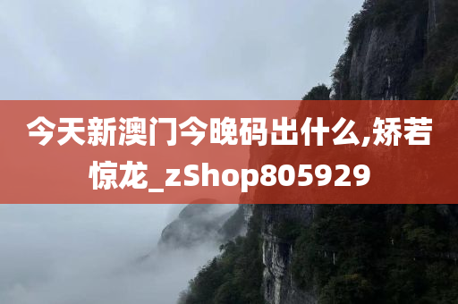 今天新澳门今晚码出什么,矫若惊龙_zShop805929