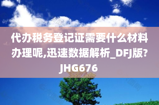 代办税务登记证需要什么材料办理呢,迅速数据解析_DFJ版?JHG676