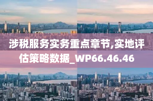 涉税服务实务重点章节,实地评估策略数据_WP66.46.46