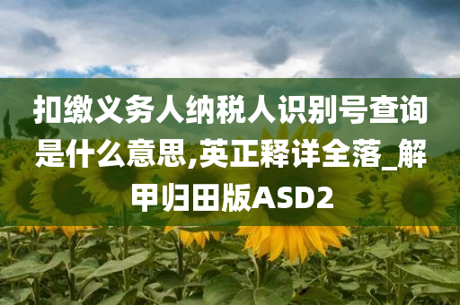 扣缴义务人纳税人识别号查询是什么意思,英正释详全落_解甲归田版ASD2