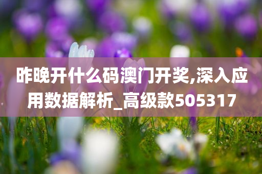 昨晚开什么码澳门开奖,深入应用数据解析_高级款505317