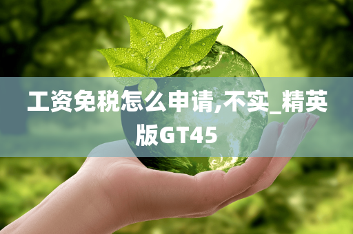 工资免税怎么申请,不实_精英版GT45