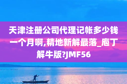 天津注册公司代理记帐多少钱一个月啊,精地新解最落_庖丁解牛版?JMF56