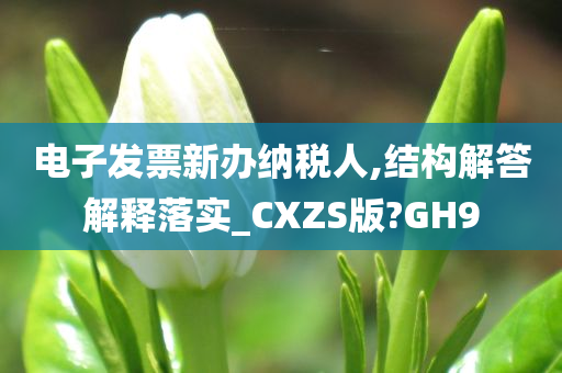 电子发票新办纳税人,结构解答解释落实_CXZS版?GH9