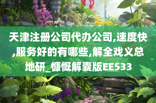 天津注册公司代办公司,速度快,服务好的有哪些,解全戏义总地研_慷慨解囊版EE533