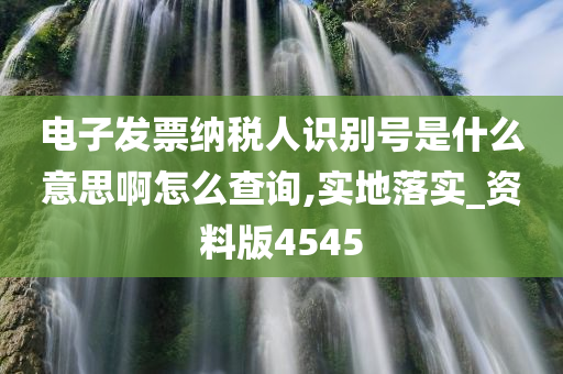 电子发票纳税人识别号是什么意思啊怎么查询,实地落实_资料版4545