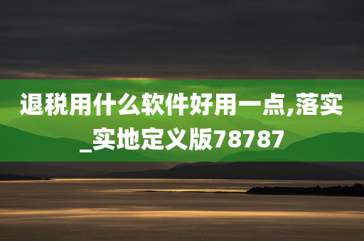 退税用什么软件好用一点,落实_实地定义版78787