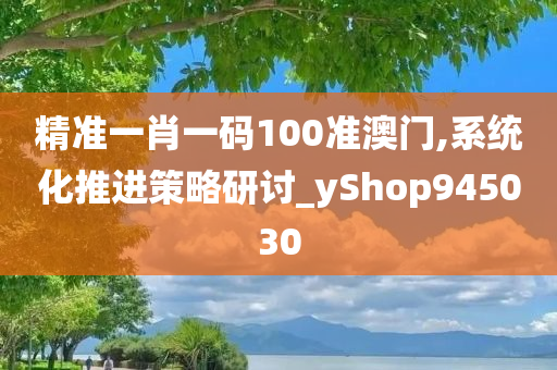 精准一肖一码100准澳门,系统化推进策略研讨_yShop945030