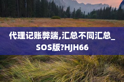 代理记账弊端,汇总不同汇总_SOS版?HJH66