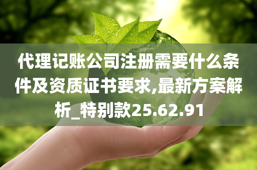 代理记账公司注册需要什么条件及资质证书要求,最新方案解析_特别款25.62.91