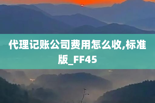 代理记账公司费用怎么收,标准版_FF45