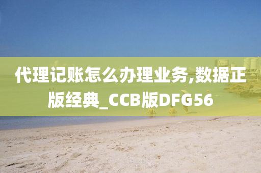 代理记账怎么办理业务,数据正版经典_CCB版DFG56