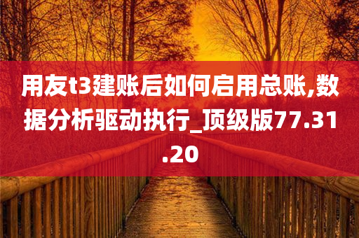 用友t3建账后如何启用总账,数据分析驱动执行_顶级版77.31.20