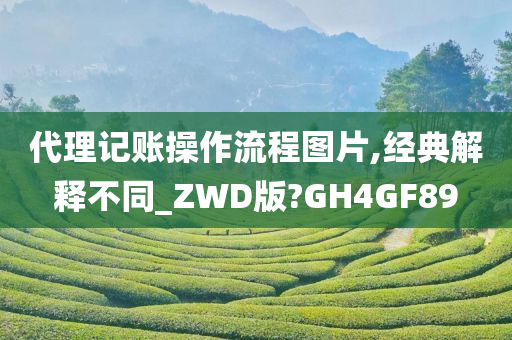 代理记账操作流程图片,经典解释不同_ZWD版?GH4GF89