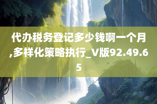 代办税务登记多少钱啊一个月,多样化策略执行_V版92.49.65