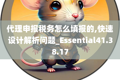 代理申报税务怎么填报的,快速设计解析问题_Essential41.38.17