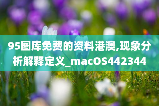 95图库免费的资料港澳,现象分析解释定义_macOS442344