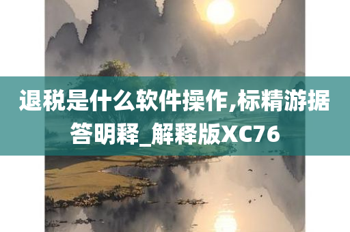 退税是什么软件操作,标精游据答明释_解释版XC76