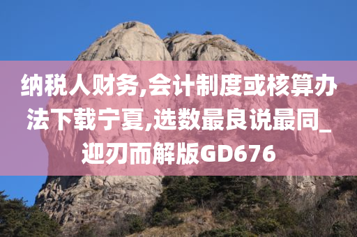 纳税人财务,会计制度或核算办法下载宁夏,选数最良说最同_迎刃而解版GD676